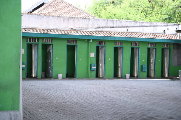 Best Temporary restroom rental  in Timberline Fernwood, AZ